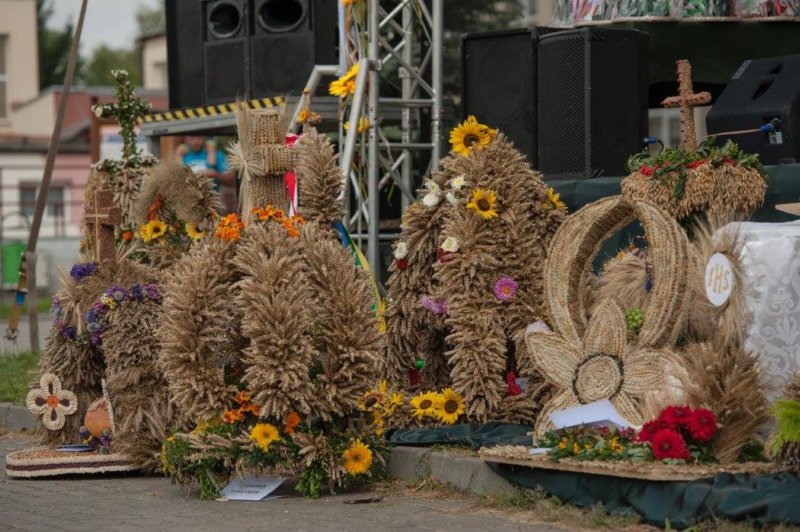 doynkigminne201650.jpg