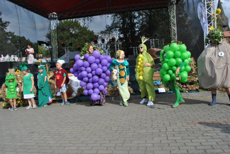 doynkigminne201686.jpg