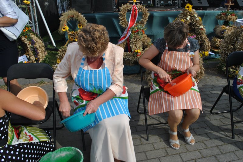 doynkigminne201691.jpg