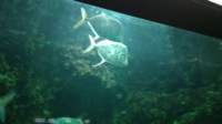 img20161001wa0004_small.jpg