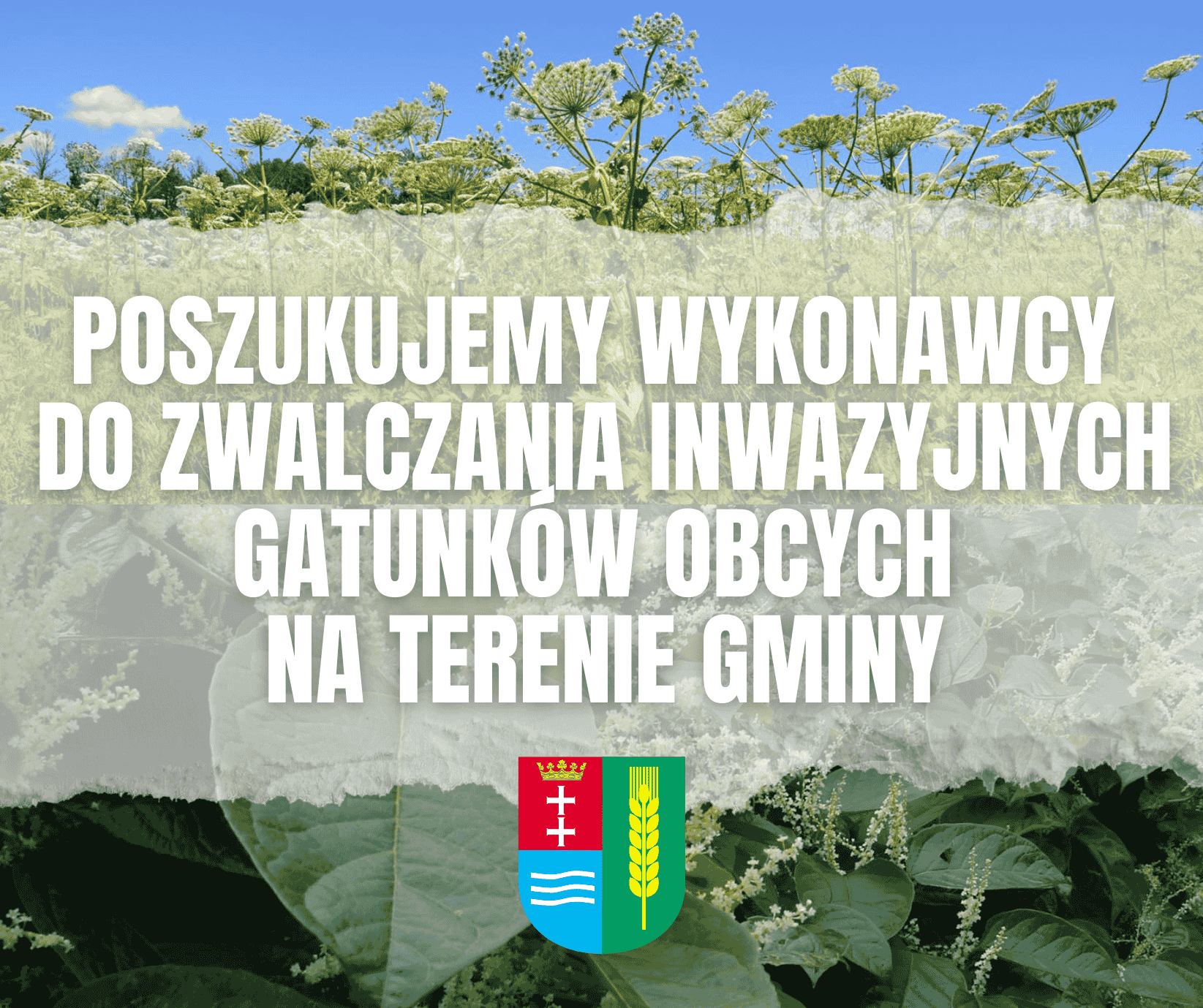 Komunikat spółki Aqua Cedry